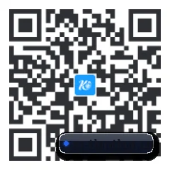 系统版 iOS 二维码
